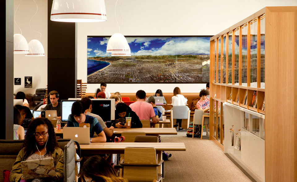 Study Areas